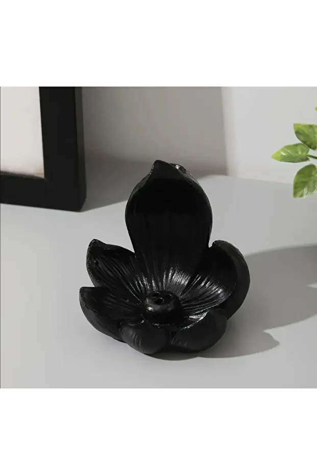 Lotus Geri Akış ve Çubuk Tütsülük - 2