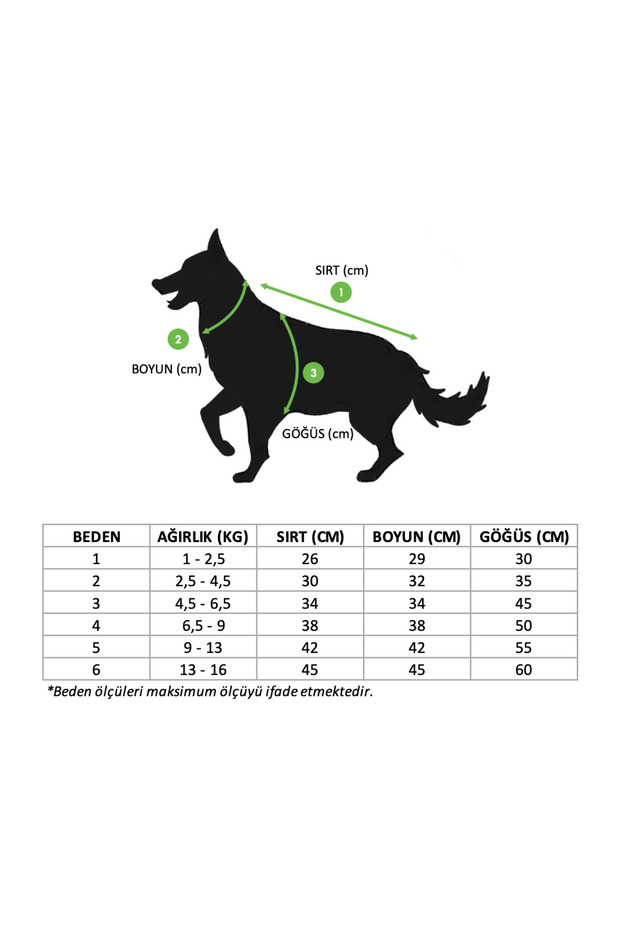 Köpek Yılbaşı Kazak - 8