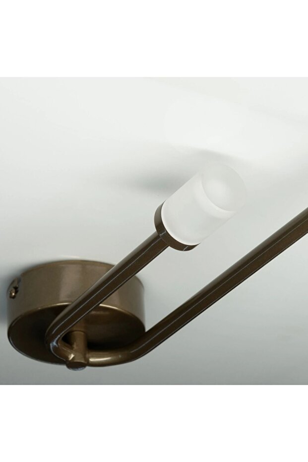 Duvar Led Aplik Branch - 3