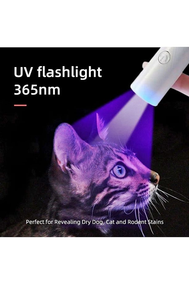 Şarjlı Kalem Tip ultraviyole kedi köpek Mantar Bit  İdrar Gösteren Uv Işık - 4
