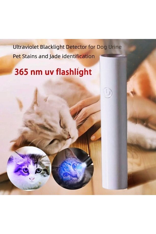 Şarjlı Kalem Tip ultraviyole kedi köpek Mantar Bit  İdrar Gösteren Uv Işık - 2