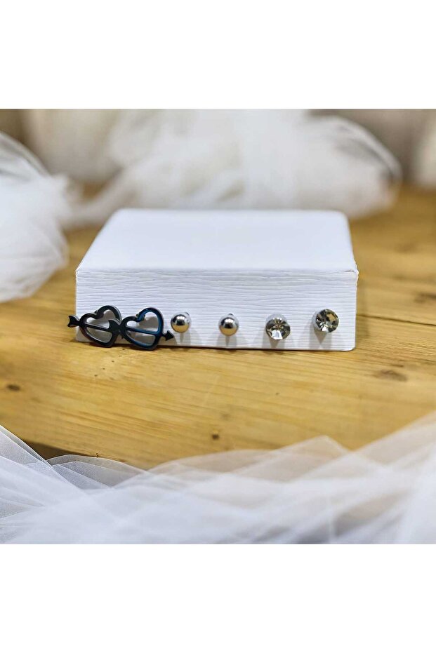 ÇOKLU ÇELİK KÜPE-1 - 2