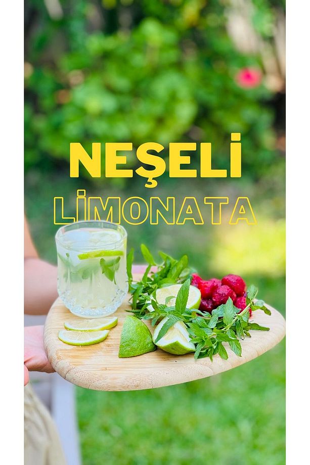 Ev Yapımı Limonata (Konsantre) 500 ml - 2