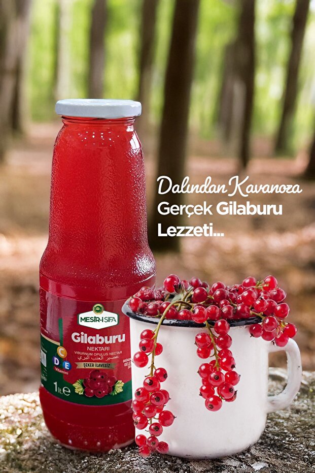 Gilaburu Nektarı Şeker İlavesiz Organik Gilaburu Suyu 1Lt Meyve Suyu - 4