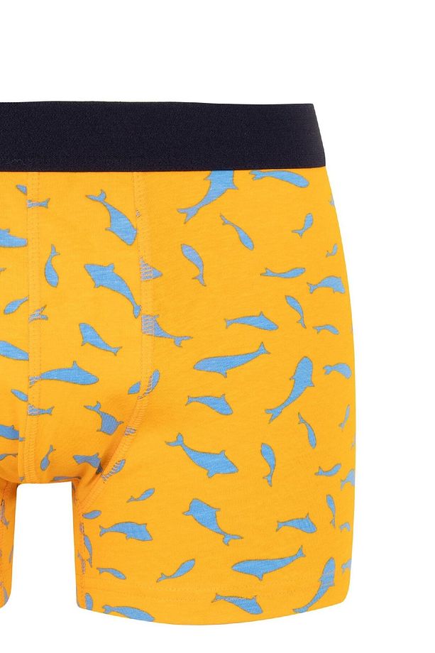 Regular Fit 3'lü Boxer B7185ax24sm - 4