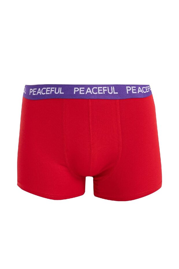 Regular Fit 3'lü Boxer B7774ax24au - 5