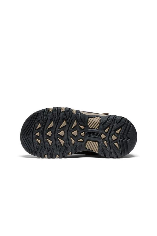 TARGHEE IV MID WP Bot - 6