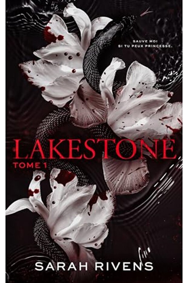 Lakestone Tome 1 Apres Captive Le Nouveau Roman Phenomene De Sarah Rivens
