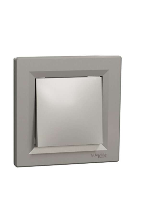 EPH0100269 Schneider Asfora – IP44 Anahtar, Çerçeveli – Bronz - 1