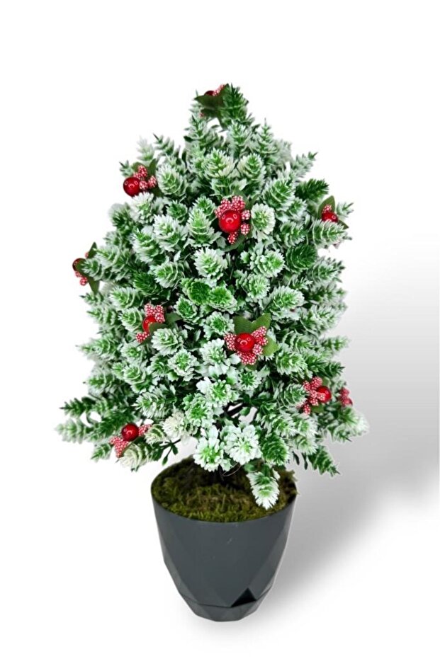 Yapay Çiçek Yılbaşı Çam Ağacı Kokinalı Karlı Kayın Siyah Saksılı - 6