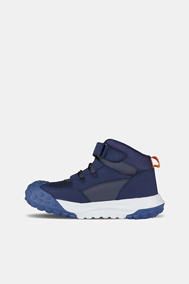 Patik Phylon Bot - 2