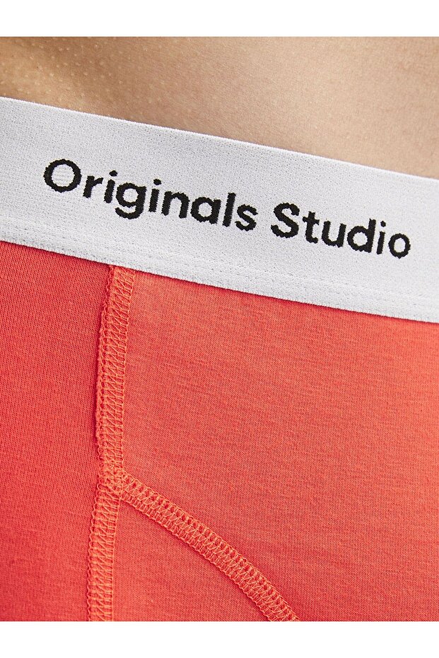 Şortlar 3'lü Paket Şortlar - 6