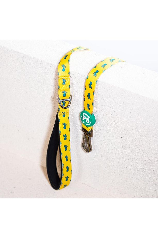 Cactus Leash Kedi Köpek Sevk & Gezdirme Kayışı Köpek Uzatma Tasması - 2