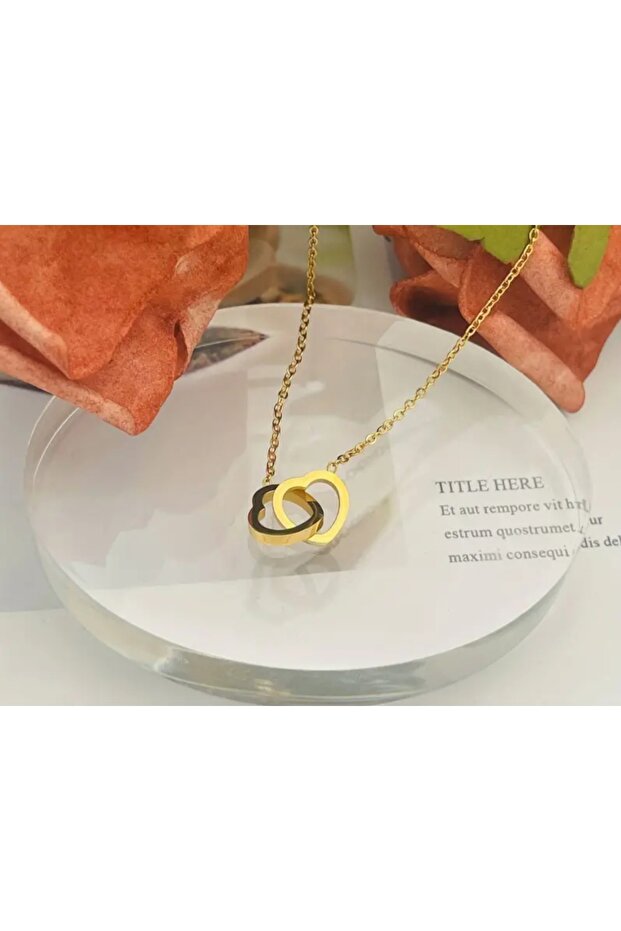 Paslanmaz Çelik Kalp Kolye - 2