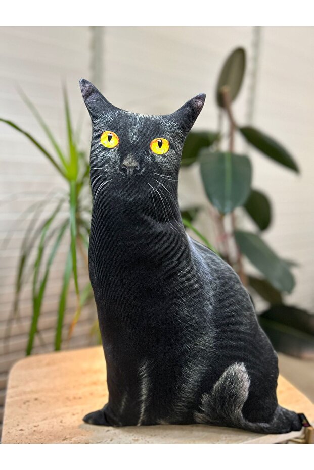 Kedi yastık - 4