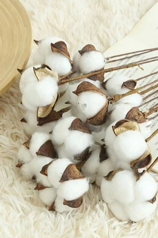 Doğal Pamuk Çiçeği 10 Adet Tekli Dal Kuru Çiçek 30 Cm Yapay Çiçek - 3