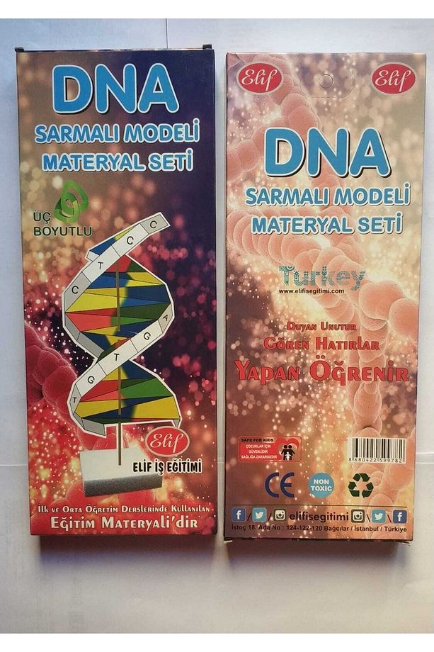 Dna Sarmal Modeli Materyal Seti - 1
