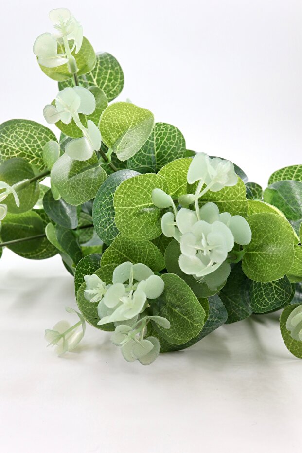 الأوكالبتوس الاصطناعي - 1