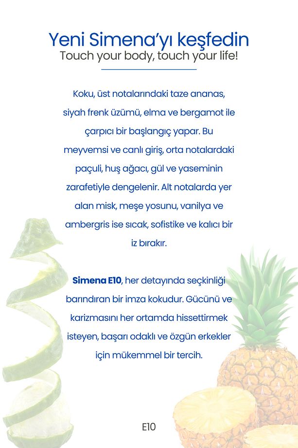 E10 - Creed Aventus Erkek Parfümü - Aromatik Fujer EDP 50ml (İlham alınmıştır.) - 3