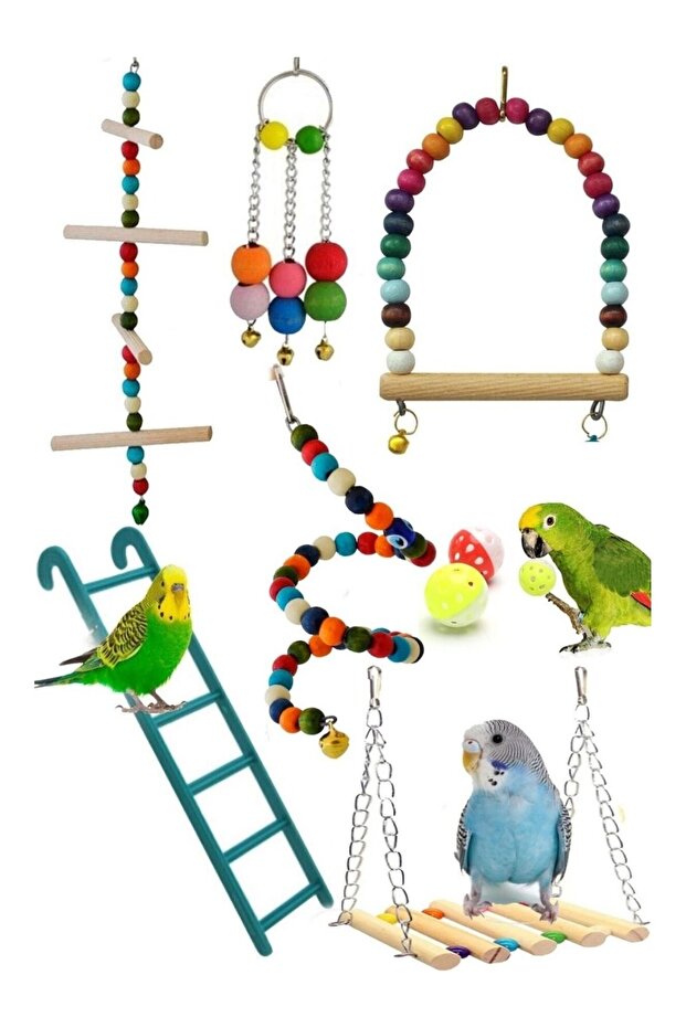7li set kuş oyuncağı