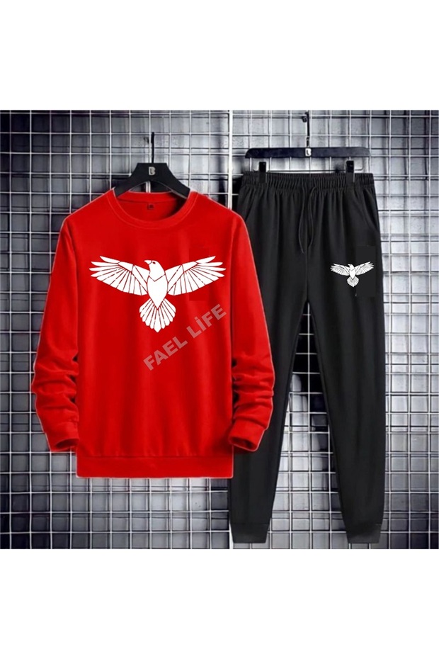 Men's Tracksuit Set Eagle Printed Seasonal Unisex