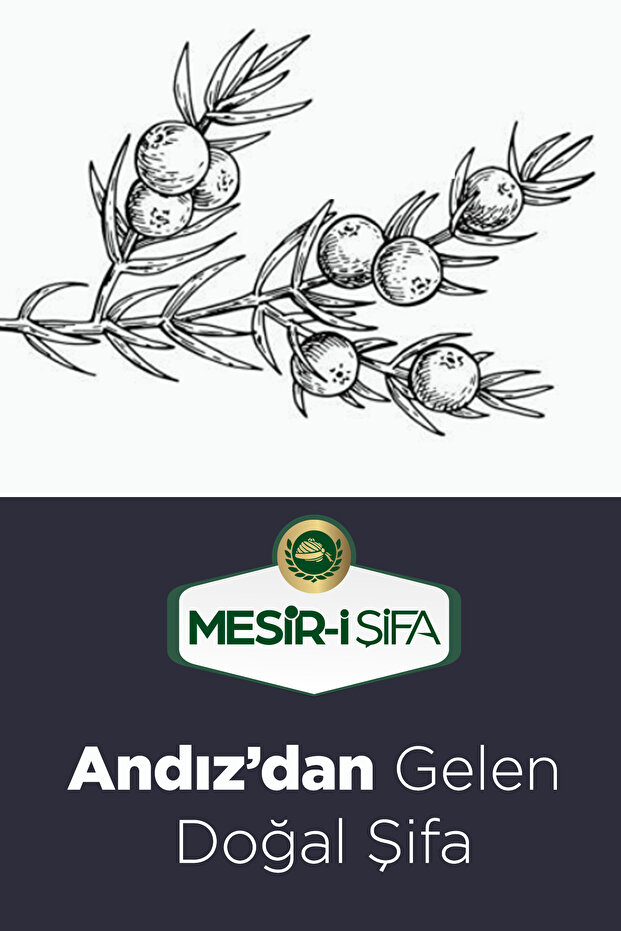 Andız Pekmezi 800g - 6