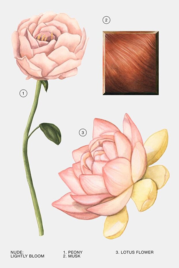 Lightly Bloom Edp 100 Ml Kadın Parfüm - 3