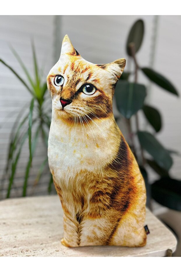 Kedi Yastık - 5