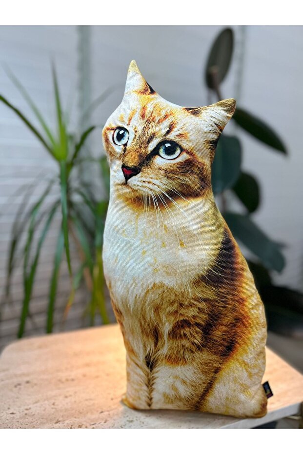Kedi Yastık - 1