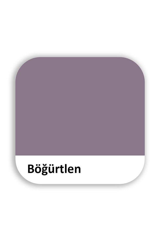 İç Cephe Duvar Boyası, Küçük Ambalaj 200 ml - 2025 Renkleri, 3 Numara Fırça Hediyeli - 2