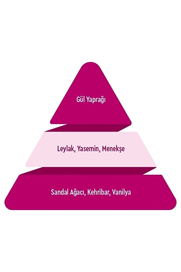 Classic Kadın Parfüm Edt 100 ml - 3