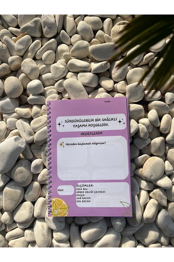 Sağlıklı Beslenme Ve Rutin Takip Günlüğü - 3