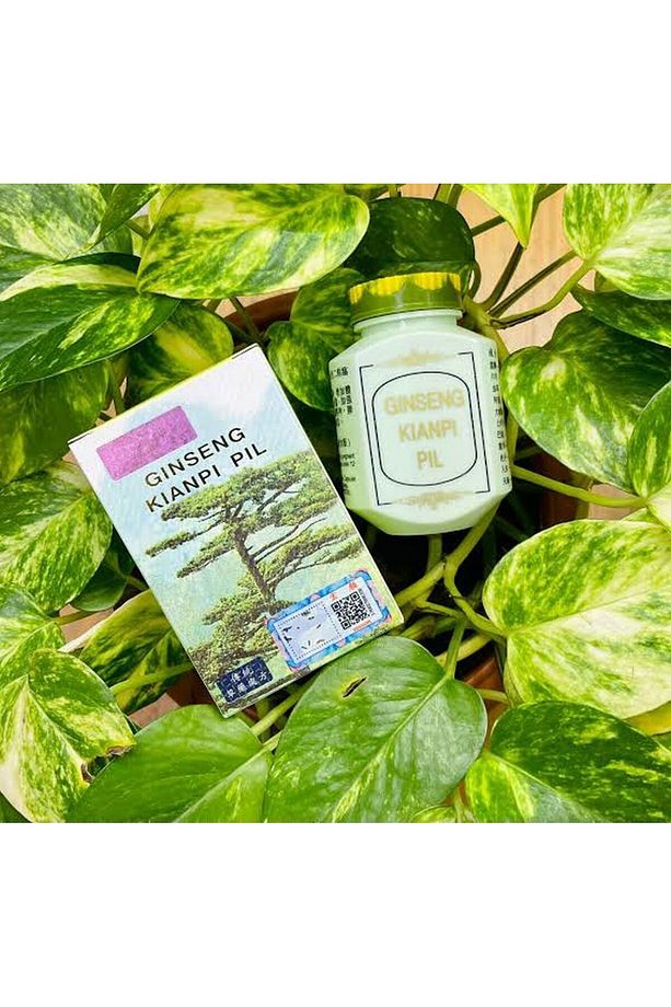 Wisdom Ginseng Kianpi Pil Karbonhidrat Tozu Yardımcısı Kapsül Bitkisel Gainer Check Kod Sorgulama - 2