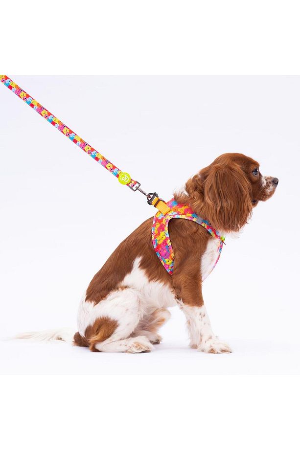 Monsters Leash Kedi Köpek Sevk & Gezdirme Kayışı Köpek Uzatma Tasması - 3