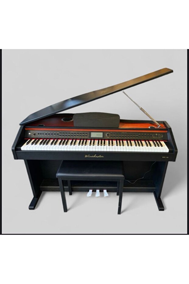 Wnchester wdp165 - 1