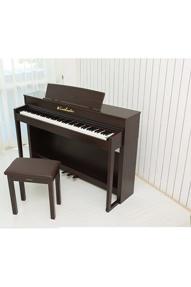 Winchester UP123 - 1