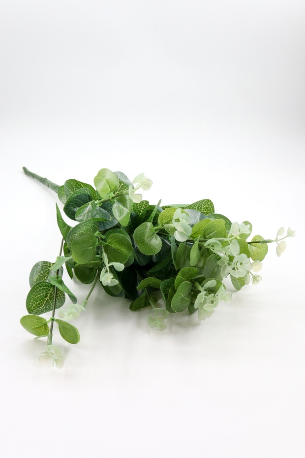 الأوكالبتوس الاصطناعي - 2