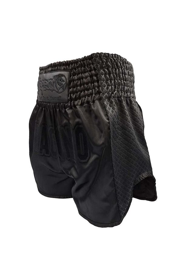 Sporcu Dişliği ve Mt3025 Muay Thai Şort 2 li Set - 5
