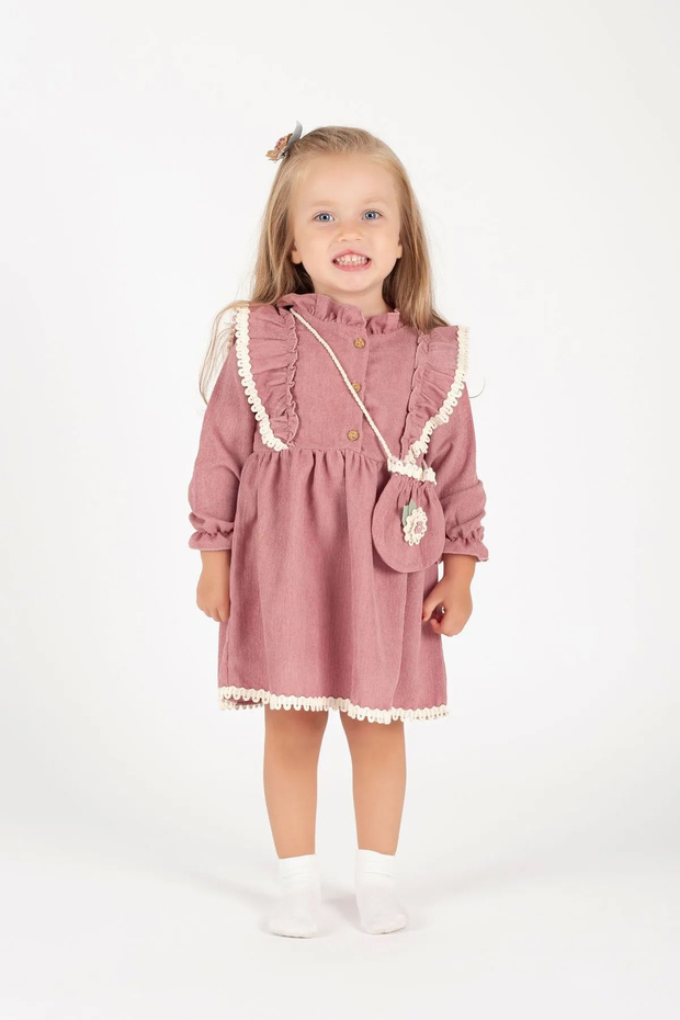 Baby Girl Long Sleeved Daisy Patterned Holiday Dress with Bag