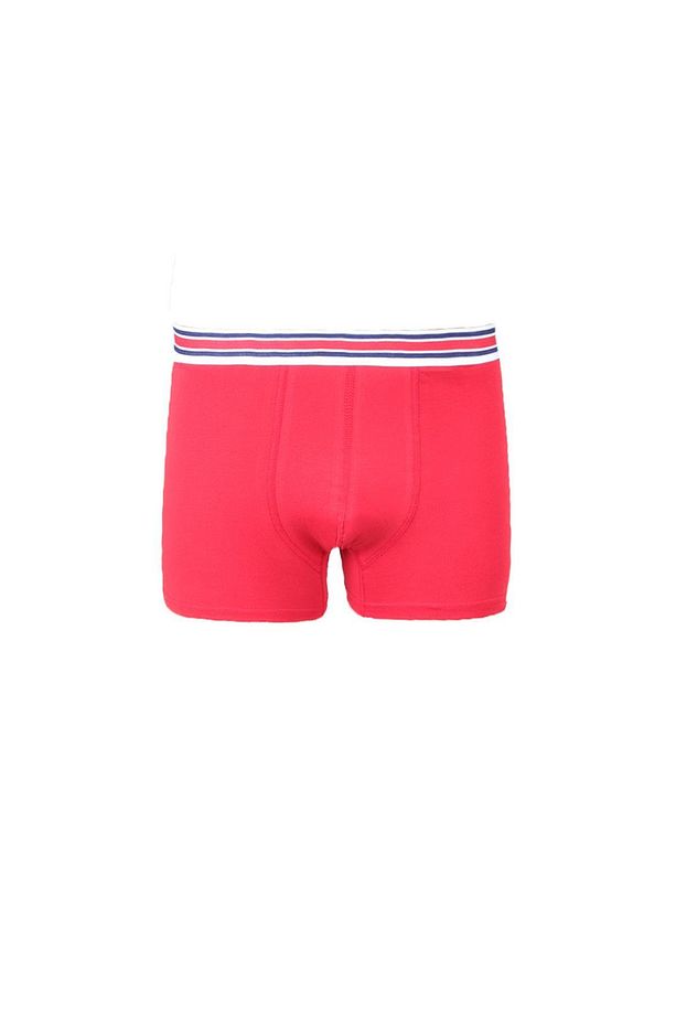 3'lü Ekonomik Boxer Seti (M0801) - 2