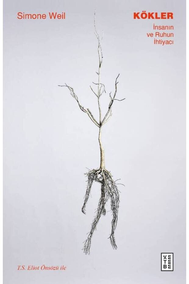 Kökler - Simone Weil - 1