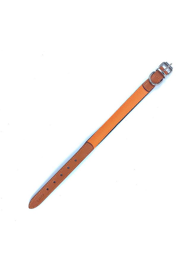 Deri Uçlu Kolon Soft Boyun Tasması - 1