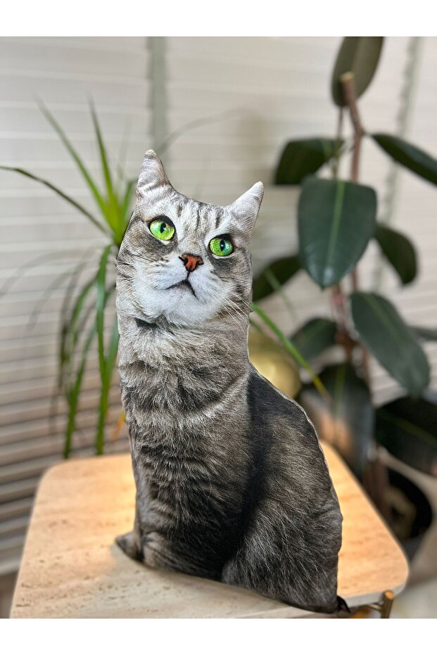 Kedi Yastık - 1