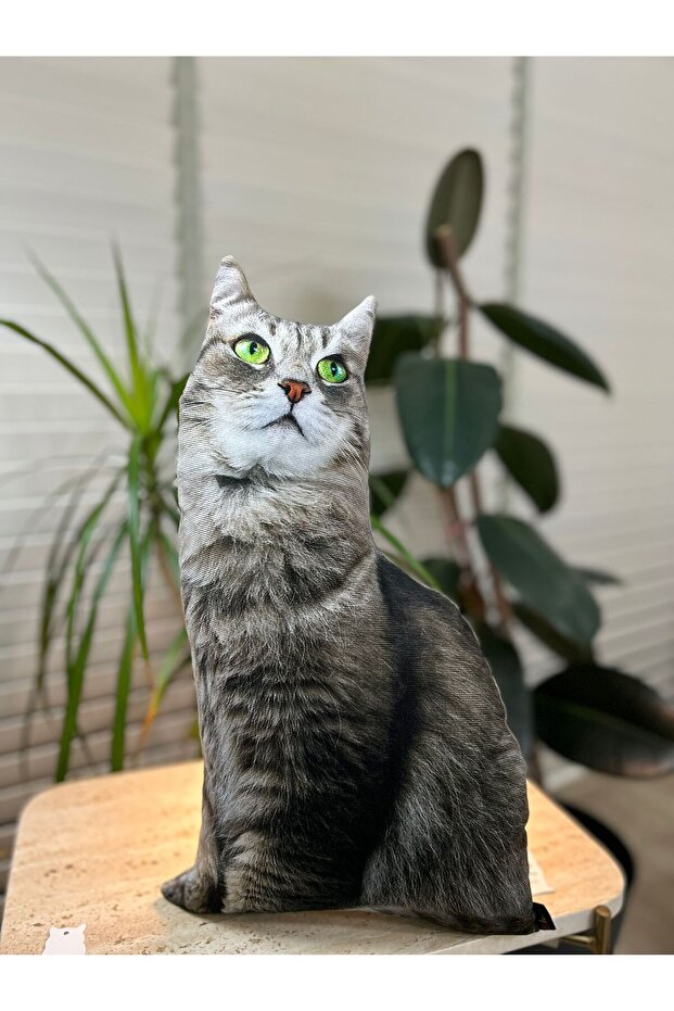Kedi Yastık - 4