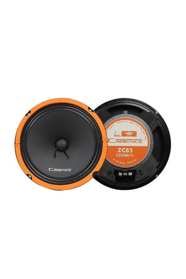 ZC-85 20CM MİDRANGE HOPARLÖR TAKIMI - 5