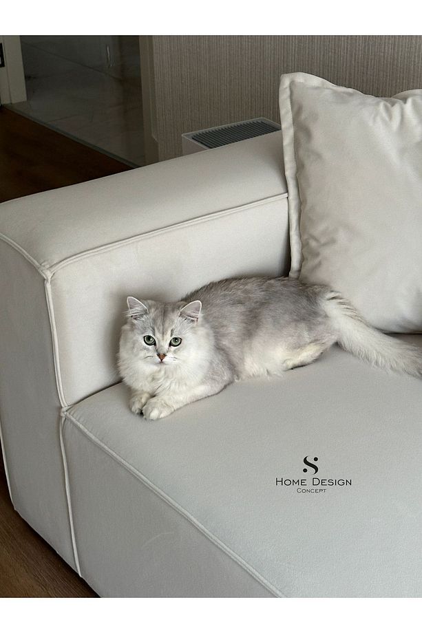 Frida 4 Modül Pofidik Modüler Kanepe L Köşe Koltuk Takımı, Yönsüz Kadife - 3