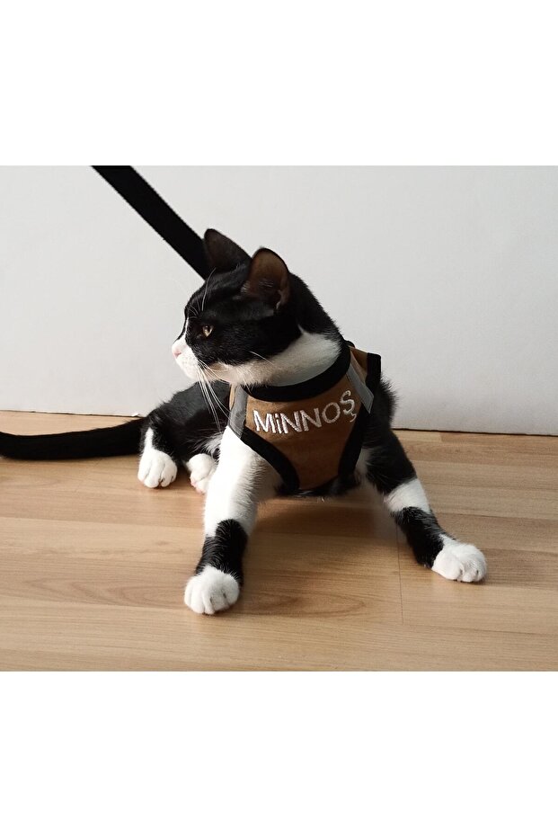 Cat Dog Chest Collar Set