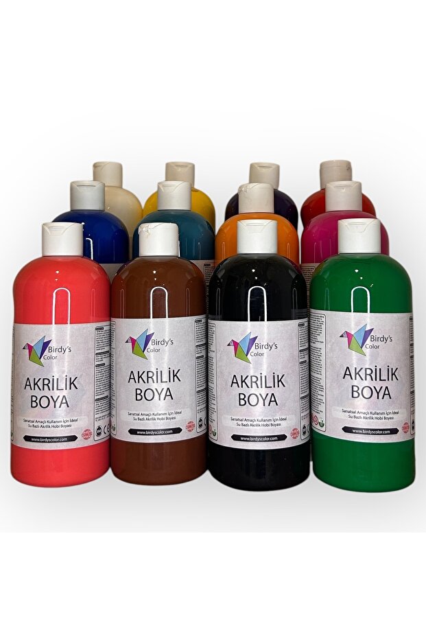Birdy's Color Akrilik Boya 12'li Set 12X500GR - Ana Renkler - 1