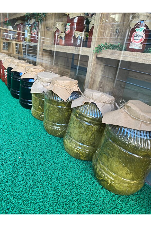 Üzüm Yaprağı - 3