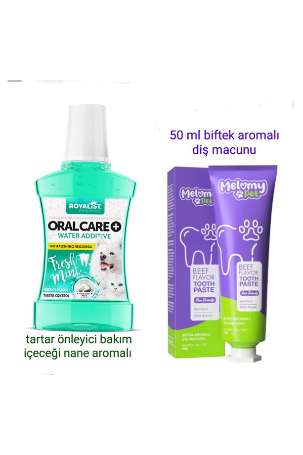 Köpeklere Özel Biftek Aromalı 50 Ml Diş Macunu Ağız Bakım Tartar Önleyici Naneli Bakım İçeceği - 1
